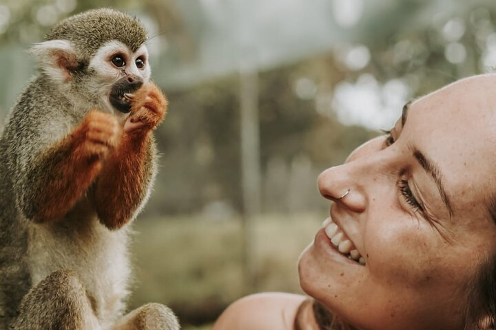 Monkey Jungle with Zip line - Photo 1 of 19